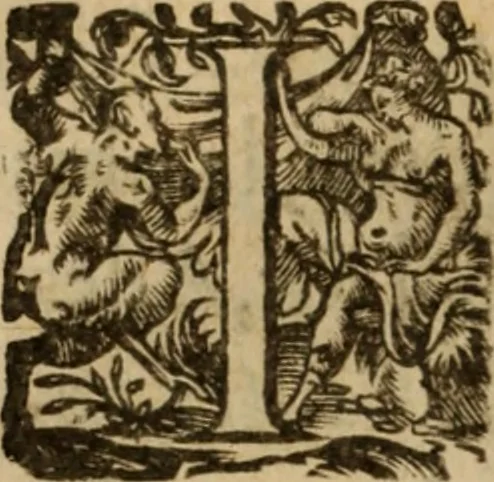 An illustration from Histoire dv chevalier Bayard, lievtenant general povr le Roy av govvernement de Daulphiné, et de plvsievrs choses memorables advenves en France, Italie, Espagne, & és Pays bas, du regne des roys Charles VIII, Louys XII, & François I. depuis l'an 1489, iusques à 1524, 1616, leaf 195