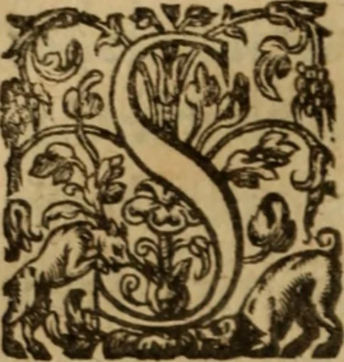 An illustration from Histoire dv chevalier Bayard, lievtenant general povr le Roy av govvernement de Daulphiné, et de plvsievrs choses memorables advenves en France, Italie, Espagne, & és Pays bas, du regne des roys Charles VIII, Louys XII, & François I. depuis l'an 1489, iusques à 1524, 1616, leaf 205