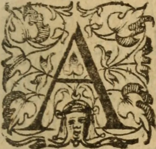 An illustration from Histoire dv chevalier Bayard, lievtenant general povr le Roy av govvernement de Daulphiné, et de plvsievrs choses memorables advenves en France, Italie, Espagne, & és Pays bas, du regne des roys Charles VIII, Louys XII, & François I. depuis l'an 1489, iusques à 1524, 1616, leaf 24