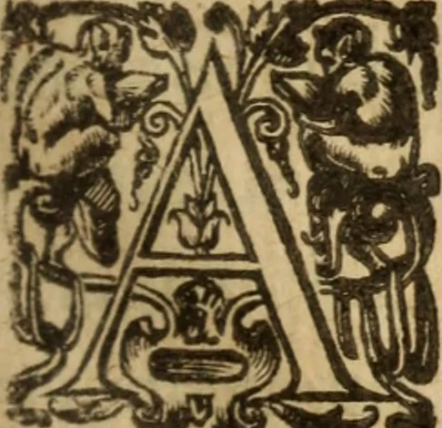 An illustration from Histoire dv chevalier Bayard, lievtenant general povr le Roy av govvernement de Daulphiné, et de plvsievrs choses memorables advenves en France, Italie, Espagne, & és Pays bas, du regne des roys Charles VIII, Louys XII, & François I. depuis l'an 1489, iusques à 1524, 1616, leaf 248