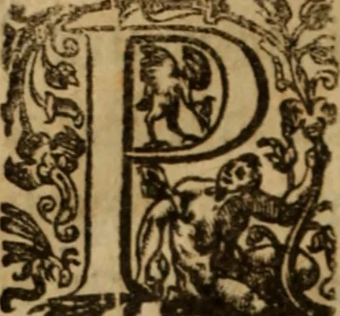 An illustration from Histoire dv chevalier Bayard, lievtenant general povr le Roy av govvernement de Daulphiné, et de plvsievrs choses memorables advenves en France, Italie, Espagne, & és Pays bas, du regne des roys Charles VIII, Louys XII, & François I. depuis l'an 1489, iusques à 1524, 1616, leaf 257