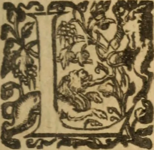 An illustration from Histoire dv chevalier Bayard, lievtenant general povr le Roy av govvernement de Daulphiné, et de plvsievrs choses memorables advenves en France, Italie, Espagne, & és Pays bas, du regne des roys Charles VIII, Louys XII, & François I. depuis l'an 1489, iusques à 1524, 1616, leaf 276