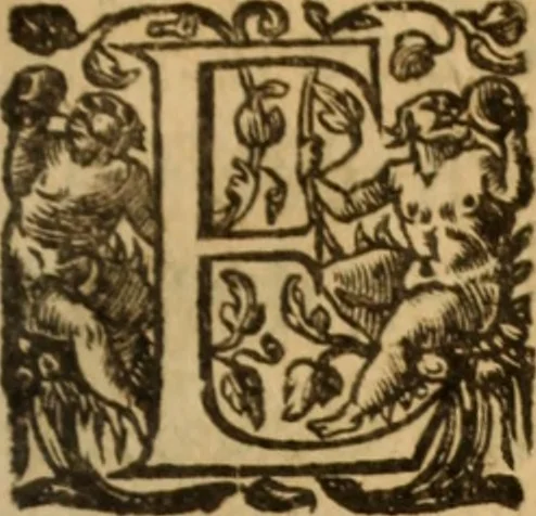 An illustration from Histoire dv chevalier Bayard, lievtenant general povr le Roy av govvernement de Daulphiné, et de plvsievrs choses memorables advenves en France, Italie, Espagne, & és Pays bas, du regne des roys Charles VIII, Louys XII, & François I. depuis l'an 1489, iusques à 1524, 1616, leaf 300