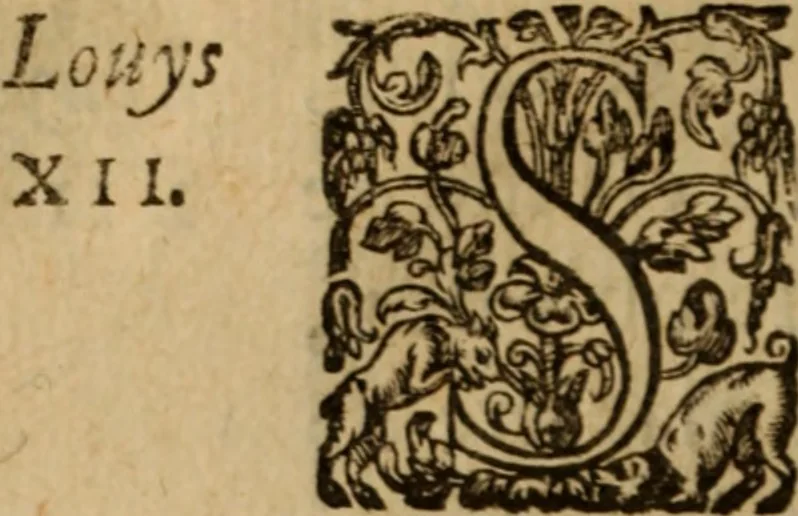 An illustration from Histoire dv chevalier Bayard, lievtenant general povr le Roy av govvernement de Daulphiné, et de plvsievrs choses memorables advenves en France, Italie, Espagne, & és Pays bas, du regne des roys Charles VIII, Louys XII, & François I. depuis l'an 1489, iusques à 1524, 1616, leaf 315