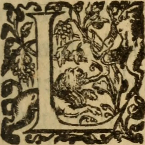 An illustration from Histoire dv chevalier Bayard, lievtenant general povr le Roy av govvernement de Daulphiné, et de plvsievrs choses memorables advenves en France, Italie, Espagne, & és Pays bas, du regne des roys Charles VIII, Louys XII, & François I. depuis l'an 1489, iusques à 1524, 1616, leaf 36