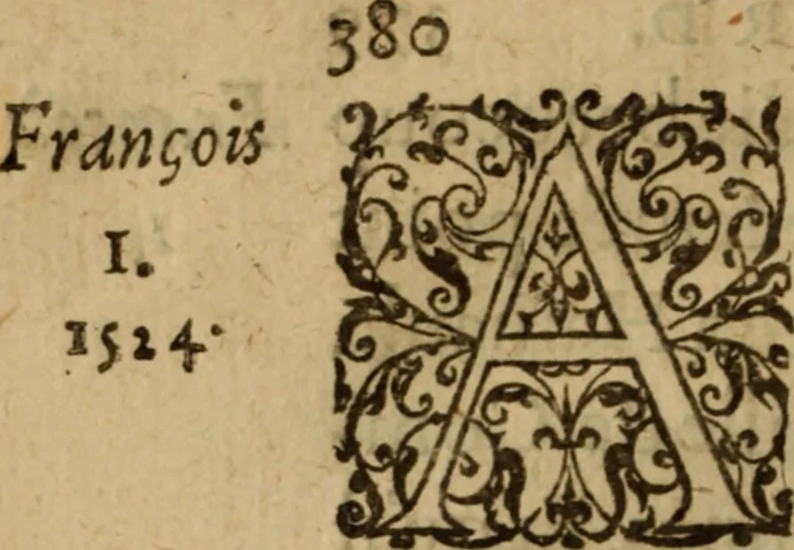 An illustration from Histoire dv chevalier Bayard, lievtenant general povr le Roy av govvernement de Daulphiné, et de plvsievrs choses memorables advenves en France, Italie, Espagne, & és Pays bas, du regne des roys Charles VIII, Louys XII, & François I. depuis l'an 1489, iusques à 1524, 1616, leaf 403