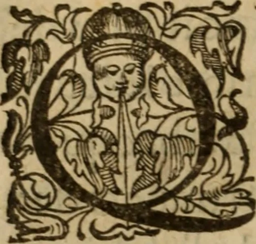 An illustration from Histoire dv chevalier Bayard, lievtenant general povr le Roy av govvernement de Daulphiné, et de plvsievrs choses memorables advenves en France, Italie, Espagne, & és Pays bas, du regne des roys Charles VIII, Louys XII, & François I. depuis l'an 1489, iusques à 1524, 1616, leaf 409