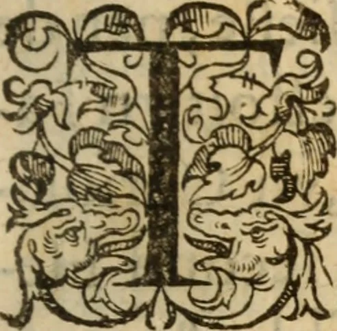 An illustration from Histoire dv chevalier Bayard, lievtenant general povr le Roy av govvernement de Daulphiné, et de plvsievrs choses memorables advenves en France, Italie, Espagne, & és Pays bas, du regne des roys Charles VIII, Louys XII, & François I. depuis l'an 1489, iusques à 1524, 1616, leaf 416