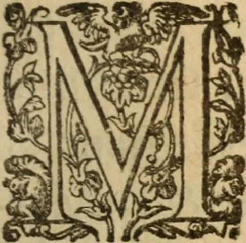 An illustration from Histoire dv chevalier Bayard, lievtenant general povr le Roy av govvernement de Daulphiné, et de plvsievrs choses memorables advenves en France, Italie, Espagne, & és Pays bas, du regne des roys Charles VIII, Louys XII, & François I. depuis l'an 1489, iusques à 1524, 1616, leaf 428