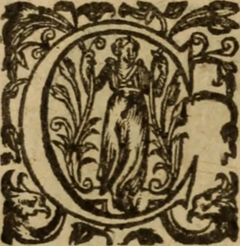 An illustration from Histoire dv chevalier Bayard, lievtenant general povr le Roy av govvernement de Daulphiné, et de plvsievrs choses memorables advenves en France, Italie, Espagne, & és Pays bas, du regne des roys Charles VIII, Louys XII, & François I. depuis l'an 1489, iusques à 1524, 1616, leaf 431