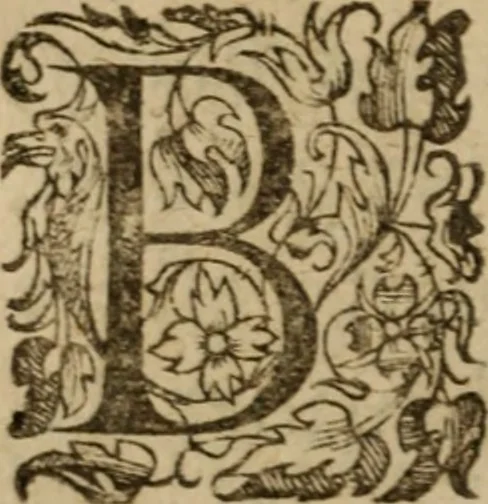 An illustration from Histoire dv chevalier Bayard, lievtenant general povr le Roy av govvernement de Daulphiné, et de plvsievrs choses memorables advenves en France, Italie, Espagne, & és Pays bas, du regne des roys Charles VIII, Louys XII, & François I. depuis l'an 1489, iusques à 1524, 1616, leaf 433