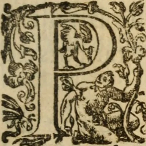 An illustration from Histoire dv chevalier Bayard, lievtenant general povr le Roy av govvernement de Daulphiné, et de plvsievrs choses memorables advenves en France, Italie, Espagne, & és Pays bas, du regne des roys Charles VIII, Louys XII, & François I. depuis l'an 1489, iusques à 1524, 1616, leaf 436
