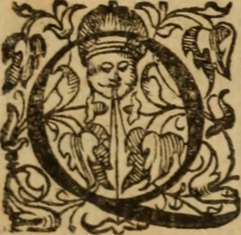 An illustration from Histoire dv chevalier Bayard, lievtenant general povr le Roy av govvernement de Daulphiné, et de plvsievrs choses memorables advenves en France, Italie, Espagne, & és Pays bas, du regne des roys Charles VIII, Louys XII, & François I. depuis l'an 1489, iusques à 1524, 1616, leaf 45