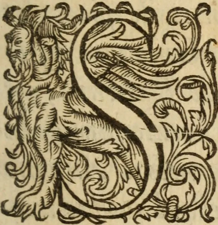 An illustration from Histoire dv chevalier Bayard, lievtenant general povr le Roy av govvernement de Daulphiné, et de plvsievrs choses memorables advenves en France, Italie, Espagne, & és Pays bas, du regne des roys Charles VIII, Louys XII, & François I. depuis l'an 1489, iusques à 1524, 1616, leaf 6