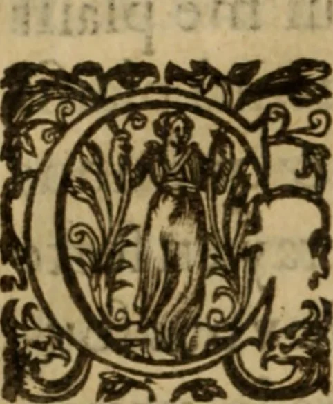 An illustration from Histoire dv chevalier Bayard, lievtenant general povr le Roy av govvernement de Daulphiné, et de plvsievrs choses memorables advenves en France, Italie, Espagne, & és Pays bas, du regne des roys Charles VIII, Louys XII, & François I. depuis l'an 1489, iusques à 1524, 1616, leaf 67