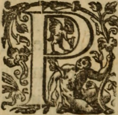 An illustration from Histoire dv chevalier Bayard, lievtenant general povr le Roy av govvernement de Daulphiné, et de plvsievrs choses memorables advenves en France, Italie, Espagne, & és Pays bas, du regne des roys Charles VIII, Louys XII, & François I. depuis l'an 1489, iusques à 1524, 1616, leaf 79
