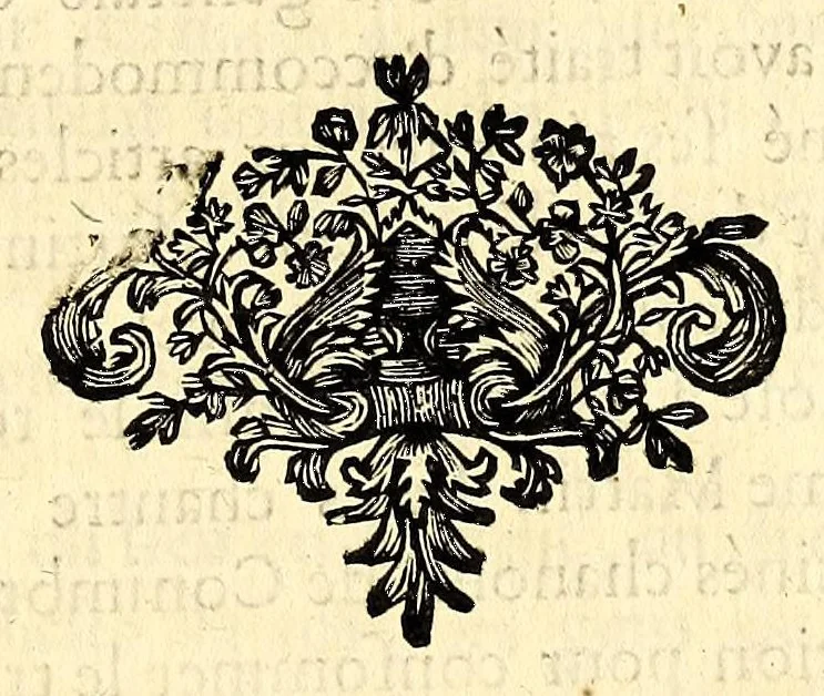 An illustration from Histoire ecclésiastique., 1691, leaf 557