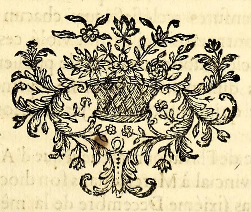 An illustration from Histoire ecclésiastique., 1691, leaf 497
