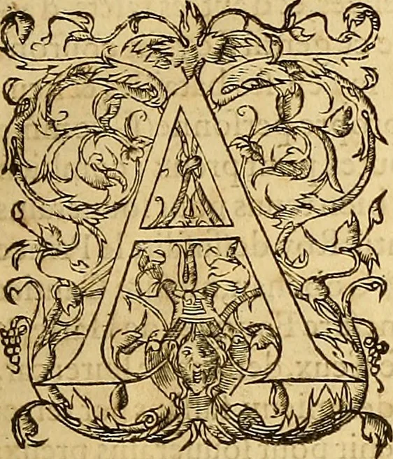 An illustration from Histoire et chronique, 1574, leaf 20
