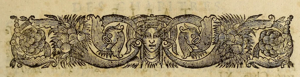 An illustration from Histoire general des voyages et conquestes des Castillans, dans les isles & terre-ferme des Indes Occidentales., 1660, leaf 19