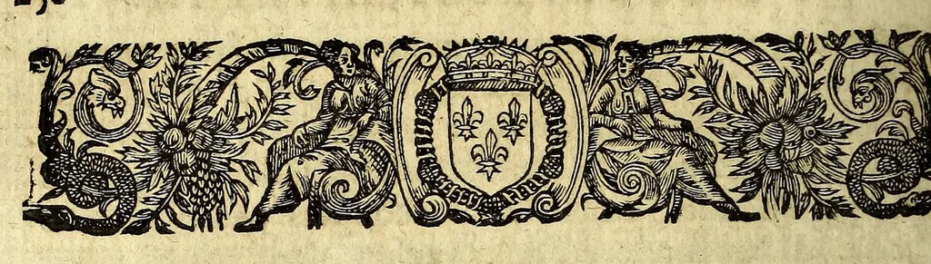 An illustration from Histoire general des voyages et conquestes des Castillans, dans les isles & terre-ferme des Indes Occidentales., 1660, leaf 288