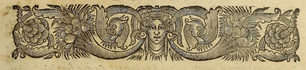 An illustration from Histoire general des voyages et conquestes des Castillans, dans les isles & terre-ferme des Indes Occidentales., 1660, leaf 15