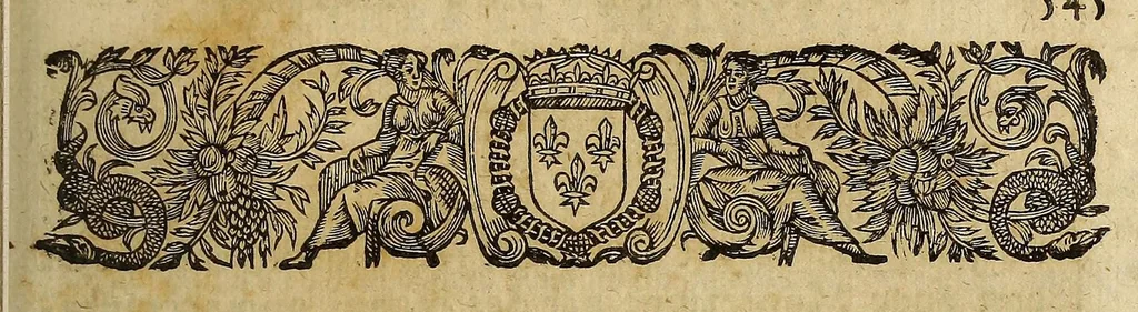 An illustration from Histoire general des voyages et conquestes des Castillans, dans les isles & terre-ferme des Indes Occidentales., 1660, leaf 577