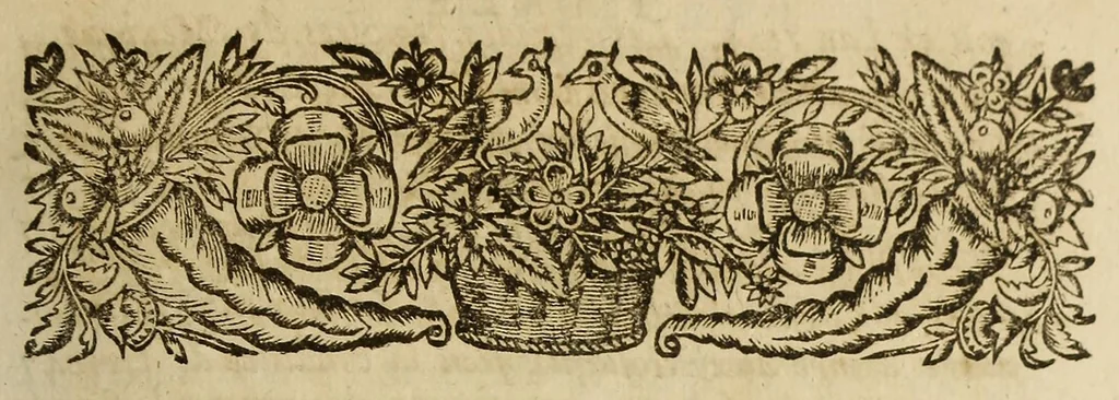 An illustration from Histoire general des voyages et conquestes des Castillans, dans les isles & terre-ferme des Indes Occidentales., 1660, leaf 13