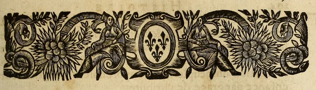An illustration from Histoire general des voyages et conquestes des Castillans, dans les isles & terre-ferme des Indes Occidentales., 1660, leaf 223