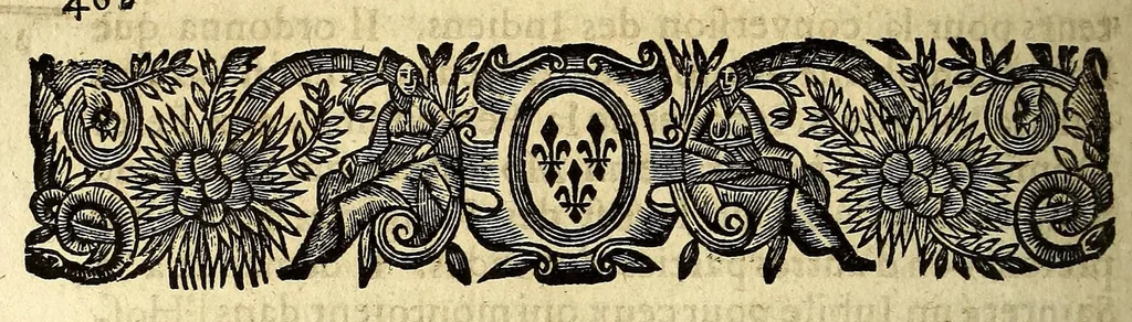 An illustration from Histoire general des voyages et conquestes des Castillans, dans les isles & terre-ferme des Indes Occidentales., 1660, leaf 478