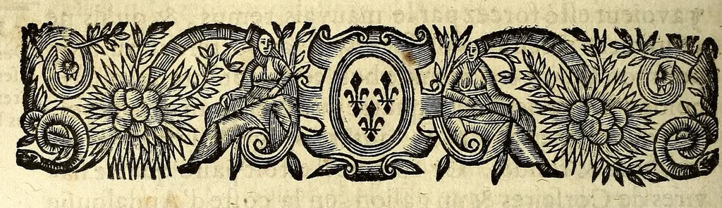 An illustration from Histoire general des voyages et conquestes des Castillans, dans les isles & terre-ferme des Indes Occidentales., 1660, leaf 556