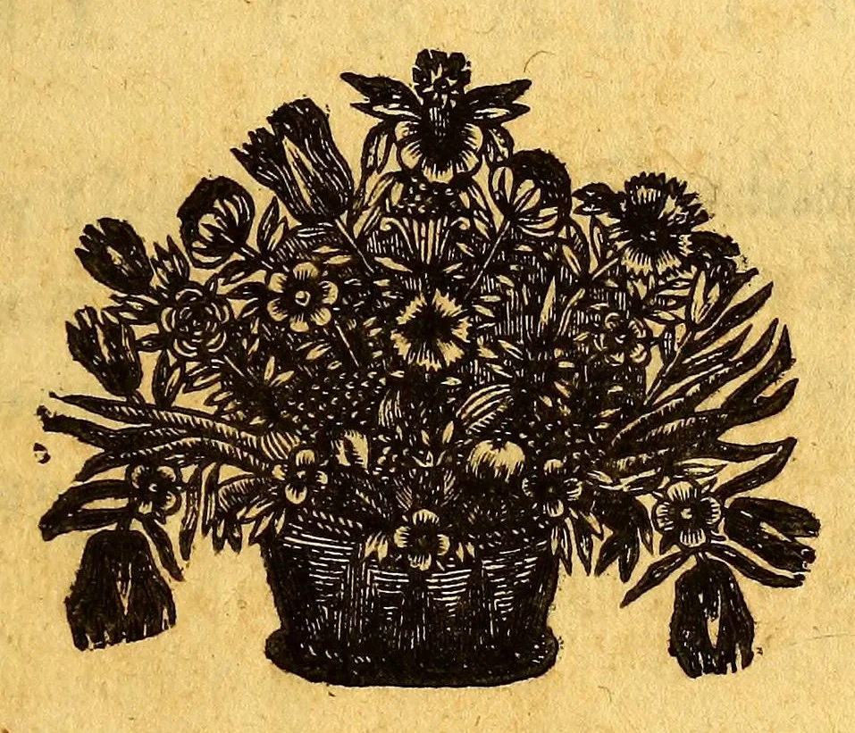 An illustration from Histoire generale, des isles de S. Christophe, de la Guadeloupe, de la Martinique, et autres dans l'Amerique. : Où l'on verra l'establissement des colonies françoises, dans ces isles; leurs guerres ciuiles & estrangeres, & tout ce qui se passe dans les voyages & retours des Indes. : Comme ausse plusieurs belles particularitez des Antisles de l'Amerique: vne description generale de l'isle de la Guadeloupe: de tous ses mineraux, de ses pierreries, de ses riuieres, fontaines & estangs: & de toutes ses plantes. : De plus, la description de tous les animaux de la mer, de l'air, & de la terre: & vn traité fort ample des murs des sauuages du pays, de l'estat de la colonie françoise, & des esclaues, tant mores, que sauuages., 1654, leaf 119