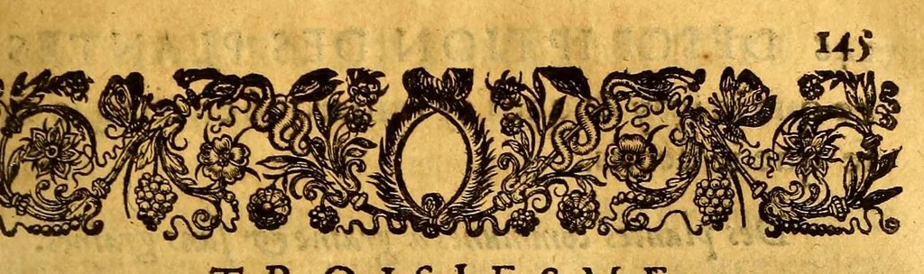 An illustration from Histoire generale, des isles de S. Christophe, de la Guadeloupe, de la Martinique, et autres dans l'Amerique. : Où l'on verra l'establissement des colonies françoises, dans ces isles; leurs guerres ciuiles & estrangeres, & tout ce qui se passe dans les voyages & retours des Indes. : Comme ausse plusieurs belles particularitez des Antisles de l'Amerique: vne description generale de l'isle de la Guadeloupe: de tous ses mineraux, de ses pierreries, de ses riuieres, fontaines & estangs: & de toutes ses plantes. : De plus, la description de tous les animaux de la mer, de l'air, & de la terre: & vn traité fort ample des murs des sauuages du pays, de l'estat de la colonie françoise, & des esclaues, tant mores, que sauuages., 1654, leaf 169