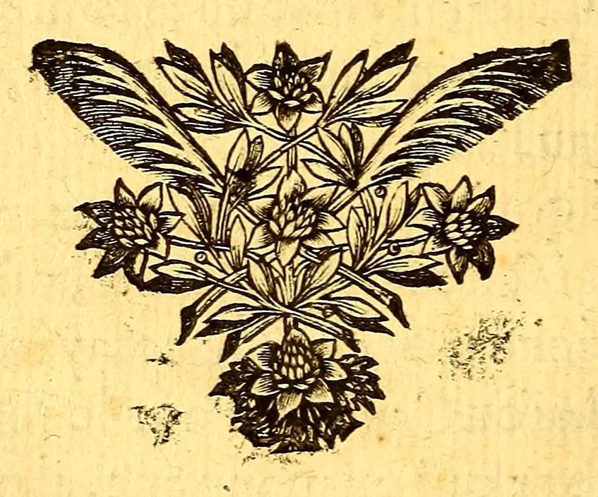 An illustration from Histoire generale, des isles de S. Christophe, de la Guadeloupe, de la Martinique, et autres dans l'Amerique. : Où l'on verra l'establissement des colonies françoises, dans ces isles; leurs guerres ciuiles & estrangeres, & tout ce qui se passe dans les voyages & retours des Indes. : Comme ausse plusieurs belles particularitez des Antisles de l'Amerique: vne description generale de l'isle de la Guadeloupe: de tous ses mineraux, de ses pierreries, de ses riuieres, fontaines & estangs: & de toutes ses plantes. : De plus, la description de tous les animaux de la mer, de l'air, & de la terre: & vn traité fort ample des murs des sauuages du pays, de l'estat de la colonie françoise, & des esclaues, tant mores, que sauuages., 1654, leaf 280