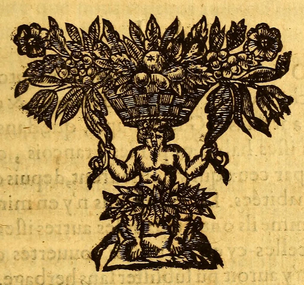 An illustration from Histoire generale, des isles de S. Christophe, de la Guadeloupe, de la Martinique, et autres dans l'Amerique. : Où l'on verra l'establissement des colonies françoises, dans ces isles; leurs guerres ciuiles & estrangeres, & tout ce qui se passe dans les voyages & retours des Indes. : Comme ausse plusieurs belles particularitez des Antisles de l'Amerique: vne description generale de l'isle de la Guadeloupe: de tous ses mineraux, de ses pierreries, de ses riuieres, fontaines & estangs: & de toutes ses plantes. : De plus, la description de tous les animaux de la mer, de l'air, & de la terre: & vn traité fort ample des murs des sauuages du pays, de l'estat de la colonie françoise, & des esclaues, tant mores, que sauuages., 1654, leaf 355
