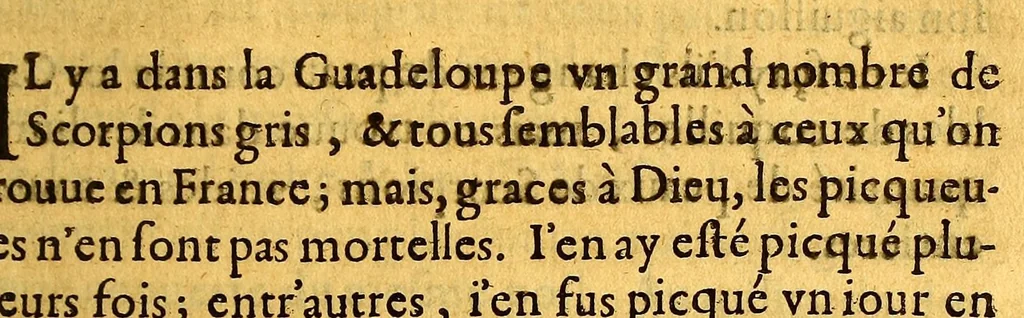 An illustration from Histoire generale, des isles de S. Christophe, de la Guadeloupe, de la Martinique, et autres dans l'Amerique. : Où l'on verra l'establissement des colonies françoises, dans ces isles; leurs guerres ciuiles & estrangeres, & tout ce qui se passe dans les voyages & retours des Indes. : Comme ausse plusieurs belles particularitez des Antisles de l'Amerique: vne description generale de l'isle de la Guadeloupe: de tous ses mineraux, de ses pierreries, de ses riuieres, fontaines & estangs: & de toutes ses plantes. : De plus, la description de tous les animaux de la mer, de l'air, & de la terre: & vn traité fort ample des murs des sauuages du pays, de l'estat de la colonie françoise, & des esclaues, tant mores, que sauuages., 1654, leaf 405