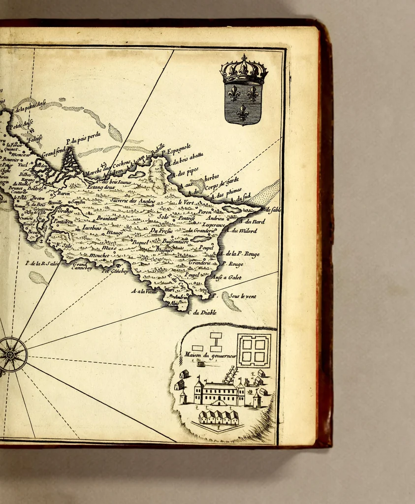 An illustration from Histoire generale des Antilles habitées par les François. : Divisée en deux tomes, et enrichie de cartes & de figures. Tome I [-IV]. ..., 1667, leaf 25