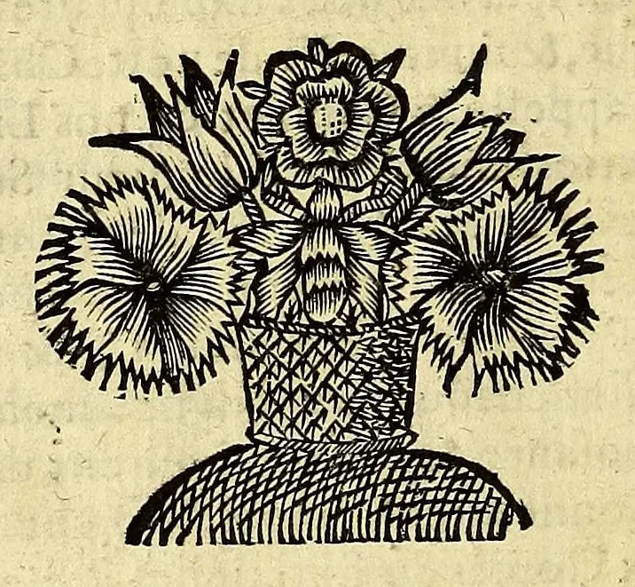An illustration from Histoire generale des Antilles habitées par les François. : Divisée en deux tomes, et enrichie de cartes & de figures. Tome I [-IV]. ..., 1667, leaf 20