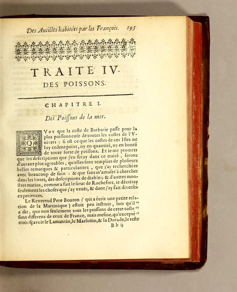 An illustration from Histoire generale des Antilles habitées par les François. : Divisée en deux tomes, et enrichie de cartes & de figures. Tome I [-IV]. ..., 1667, leaf 229