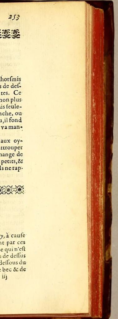An illustration from Histoire generale des Antilles habitées par les François. : Divisée en deux tomes, et enrichie de cartes & de figures. Tome I [-IV]. ..., 1667, leaf 287