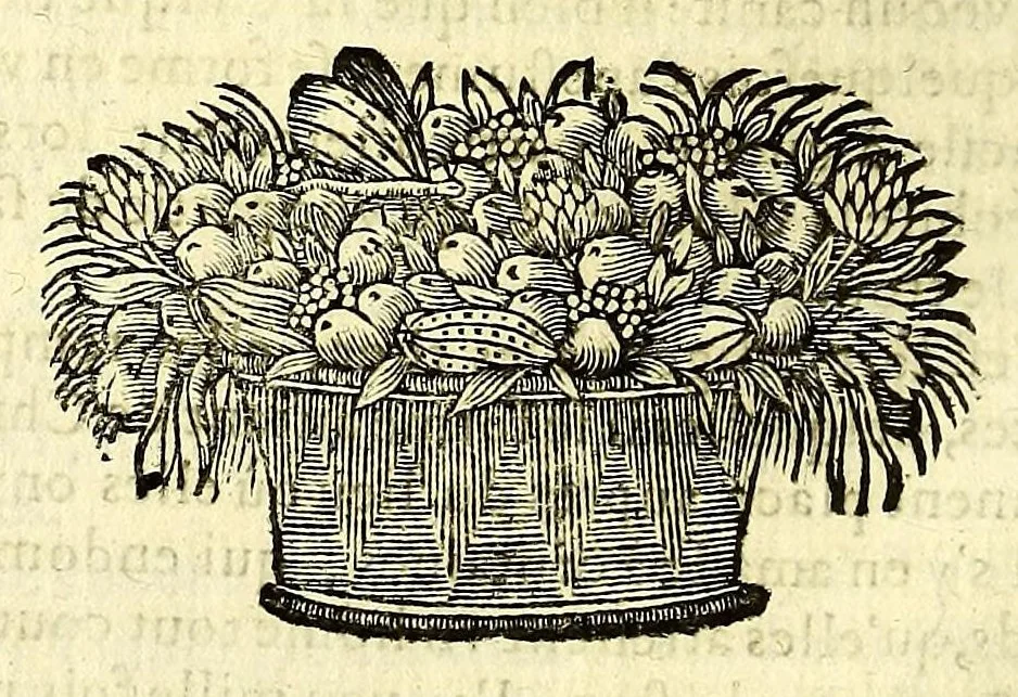 An illustration from Histoire generale des Antilles habitées par les François. : Divisée en deux tomes, et enrichie de cartes & de figures. Tome I [-IV]. ..., 1667, leaf 388