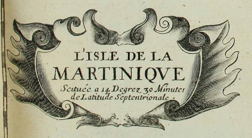 An illustration from Histoire generale des Antilles habitées par les François. : Divisée en deux tomes, et enrichie de cartes & de figures. Tome I [-IV]. ..., 1667, leaf 133