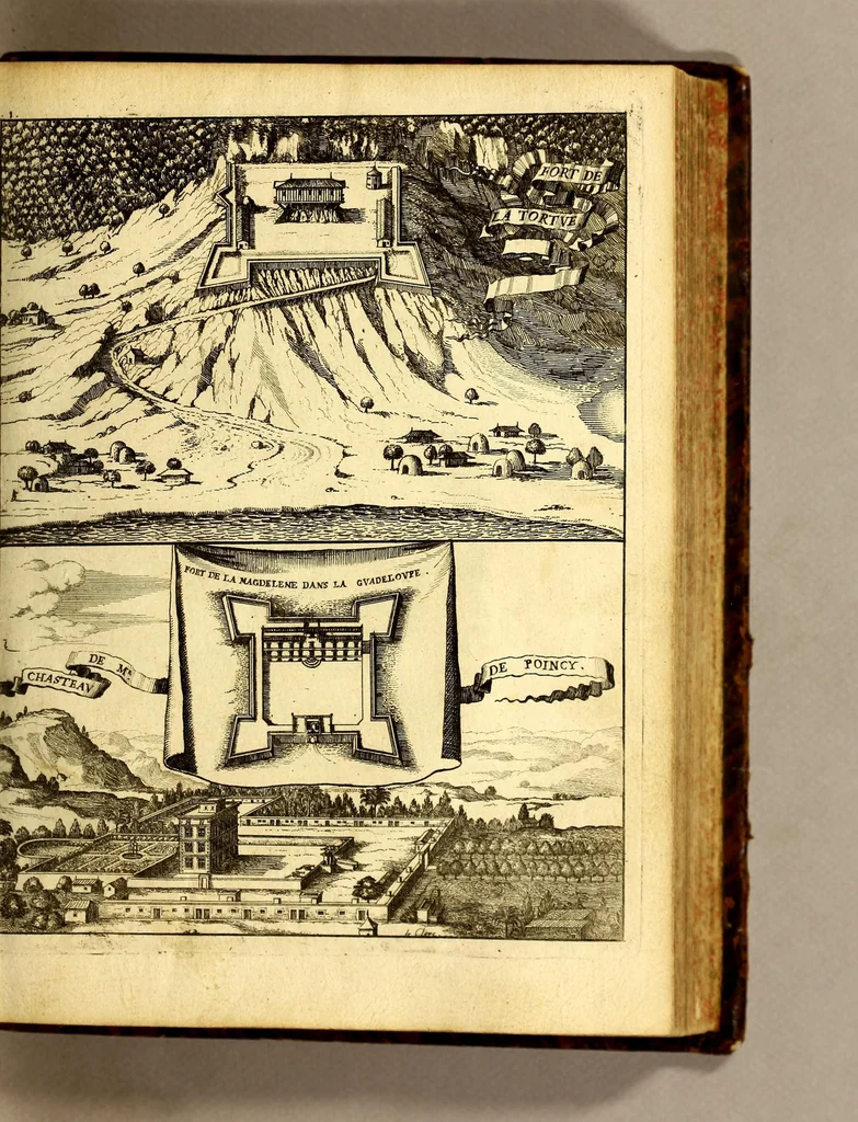 An illustration from Histoire generale des Antilles habitées par les François. : Divisée en deux tomes, et enrichie de cartes & de figures. Tome I [-IV]. ..., 1667, leaf 203
