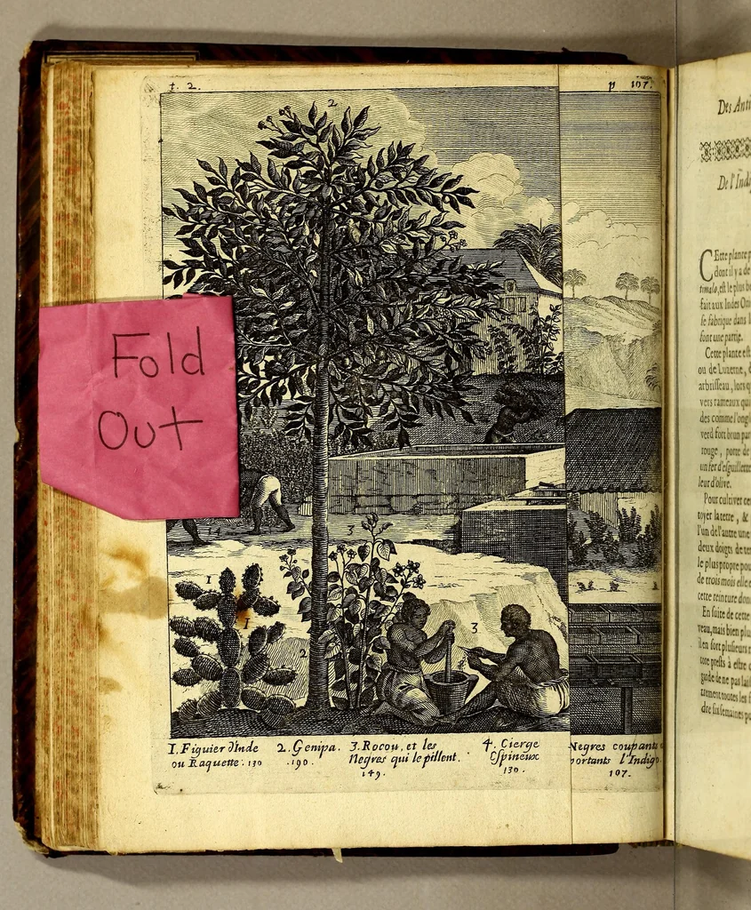 An illustration from Histoire generale des Antilles habitées par les François. : Divisée en deux tomes, et enrichie de cartes & de figures. Tome I [-IV]. ..., 1667, leaf 132