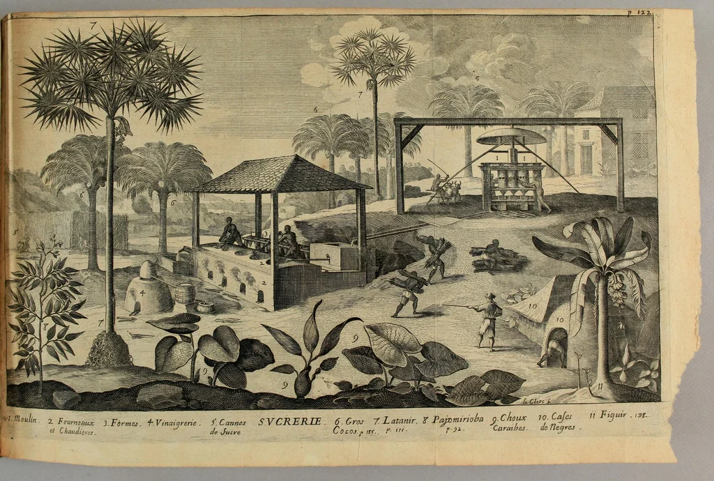 An illustration from Histoire generale des Antilles habitées par les François. : Divisée en deux tomes, et enrichie de cartes & de figures. Tome I [-IV]. ..., 1667, leaf 149