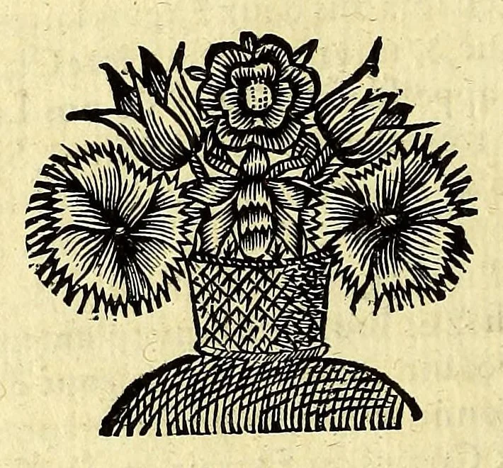 An illustration from Histoire generale des Antilles habitées par les François. : Divisée en deux tomes, et enrichie de cartes & de figures. Tome I [-IV]. ..., 1667, leaf 20