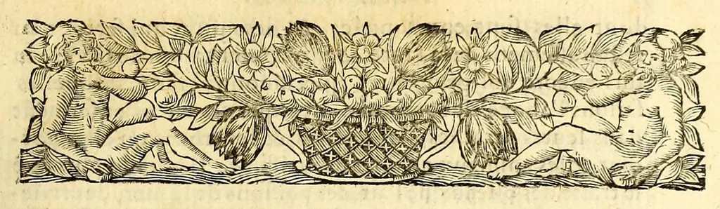 An illustration from Histoire generale des Antilles habitées par les François. : Divisée en deux tomes, et enrichie de cartes & de figures. Tome I [-IV]. ..., 1667, leaf 21