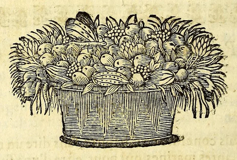 An illustration from Histoire generale des Antilles habitées par les François. : Divisée en deux tomes, et enrichie de cartes & de figures. Tome I [-IV]. ..., 1667, leaf 222