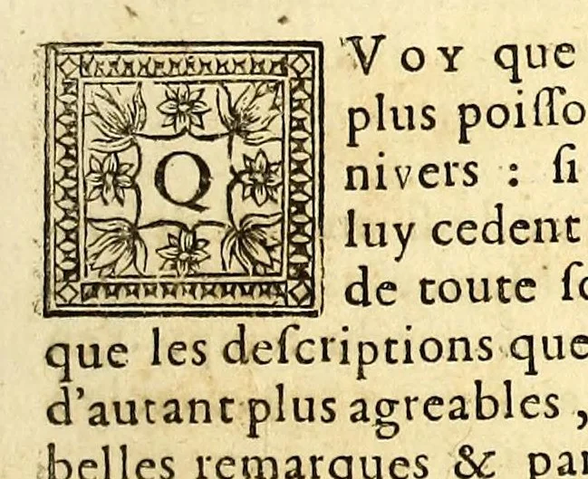 An illustration from Histoire generale des Antilles habitées par les François. : Divisée en deux tomes, et enrichie de cartes & de figures. Tome I [-IV]. ..., 1667, leaf 225