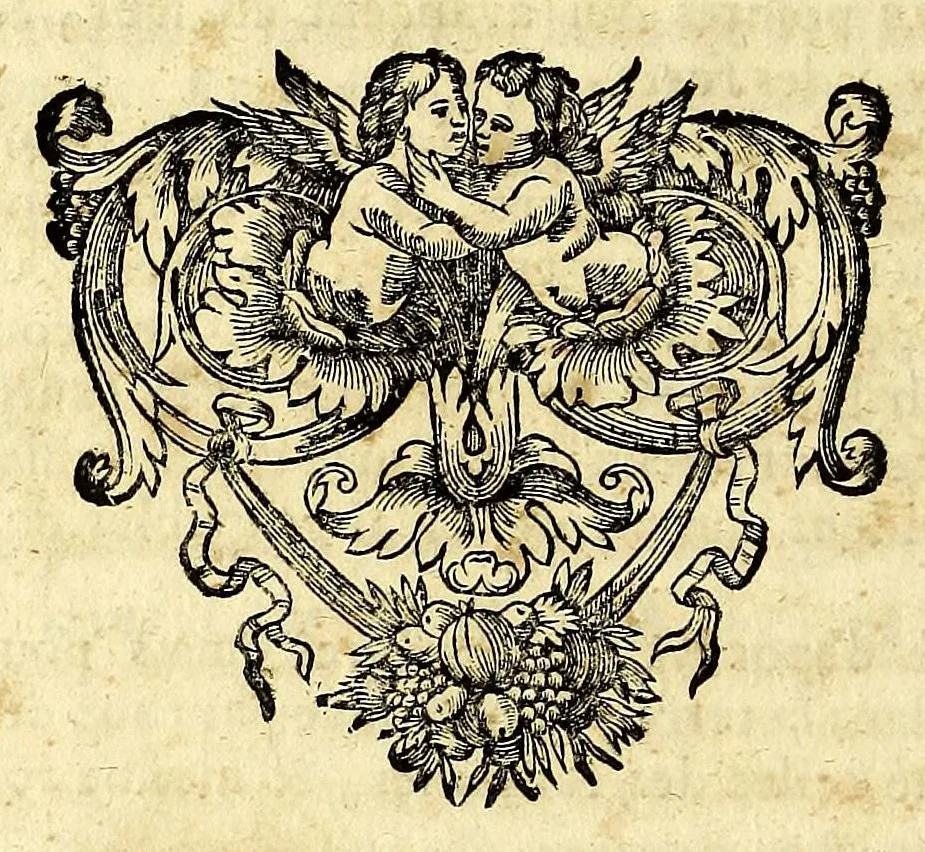 An illustration from Histoire generale des Antilles habitées par les François. : Divisée en deux tomes, et enrichie de cartes & de figures. Tome I [-IV]. ..., 1667, leaf 318
